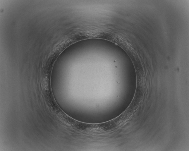 X0000070380689200606231713