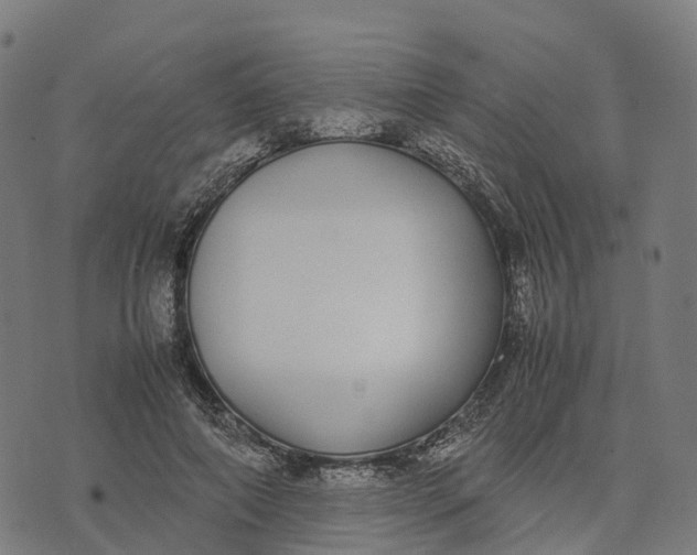 X0000070380690200606231713