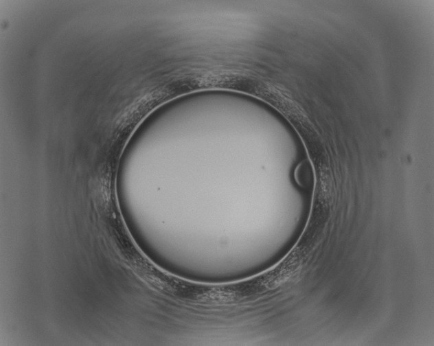 X0000070380691200606231713