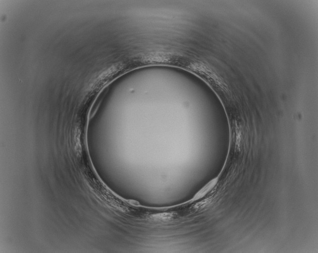 X0000070380692200606231713