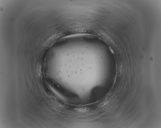 X0000070380693200606231713