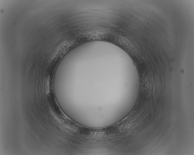 X0000070380694200606231713