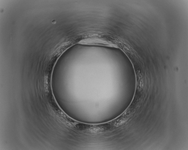 X0000070380696200606231713