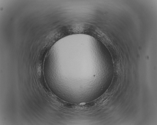 X0000070380697200606231713