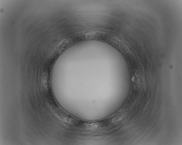 X0000070380698200606231712