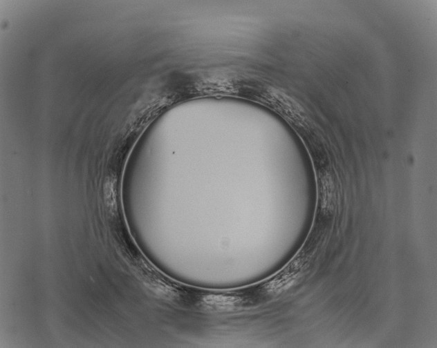 X0000070380699200606231712