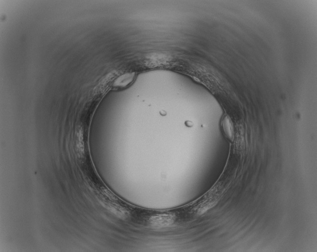 X0000070380700200606231712