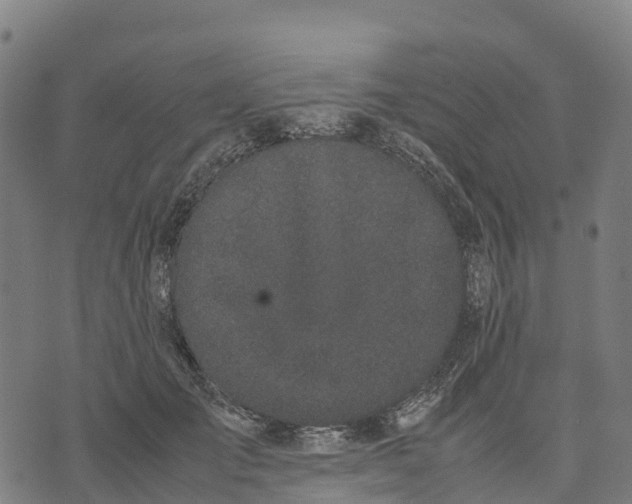 X0000070380701200606231712