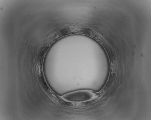 X0000070380703200606231712