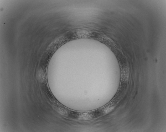 X0000070380705200606231712