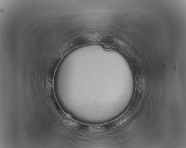 X0000070380707200606231712