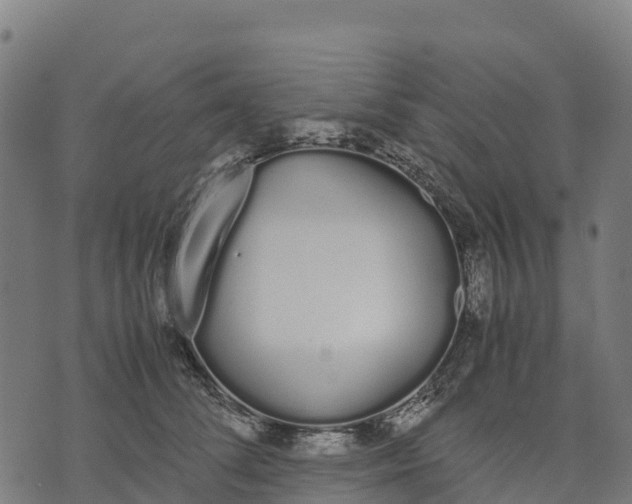 X0000070380708200606231712