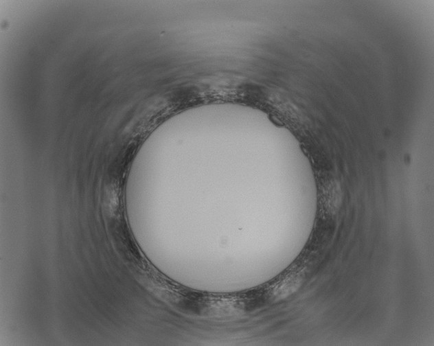 X0000070380709200606231712