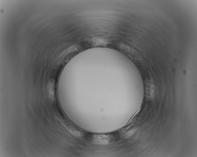 X0000070380710200606231712