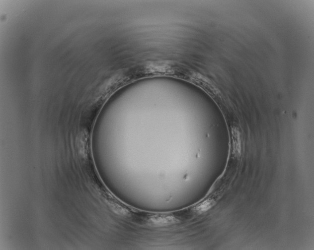 X0000070380712200606231712