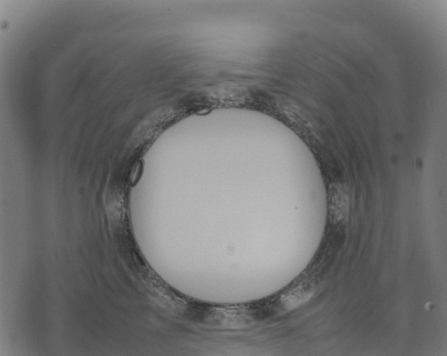 X0000070380713200606231712