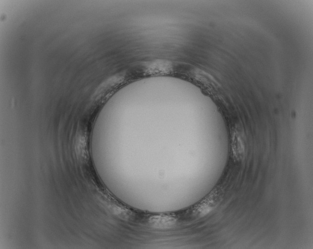 X0000070380714200606231712