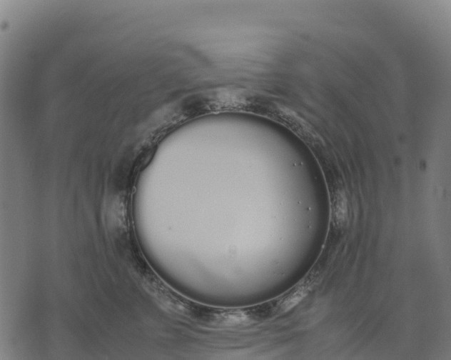 X0000070380715200606231712