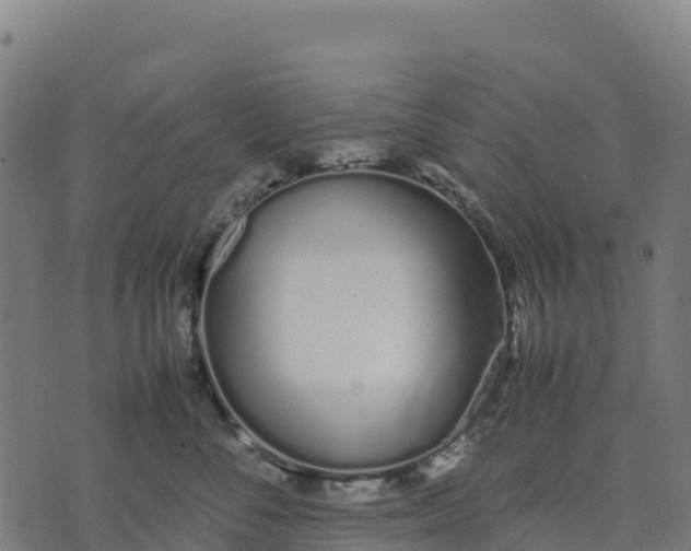 X0000070380716200606231712