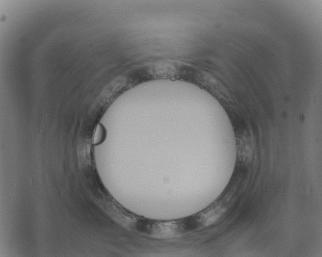 X0000070380717200606231712