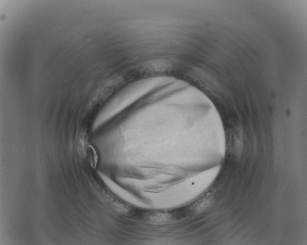 X0000070380718200606231712