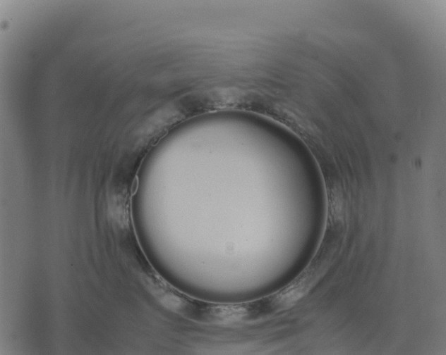 X0000070380719200606231712