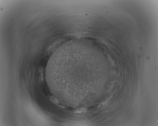 X0000070380720200606231712