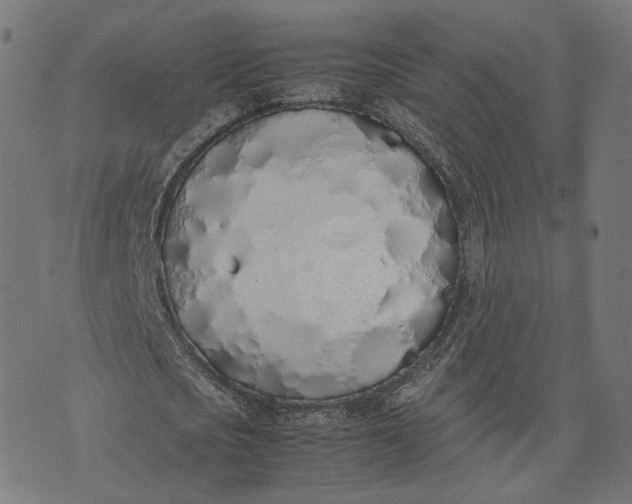 X0000070380721200606231711