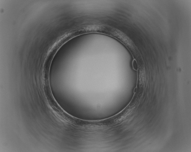 X0000070380722200606231711