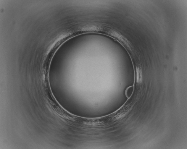 X0000070380723200606231711