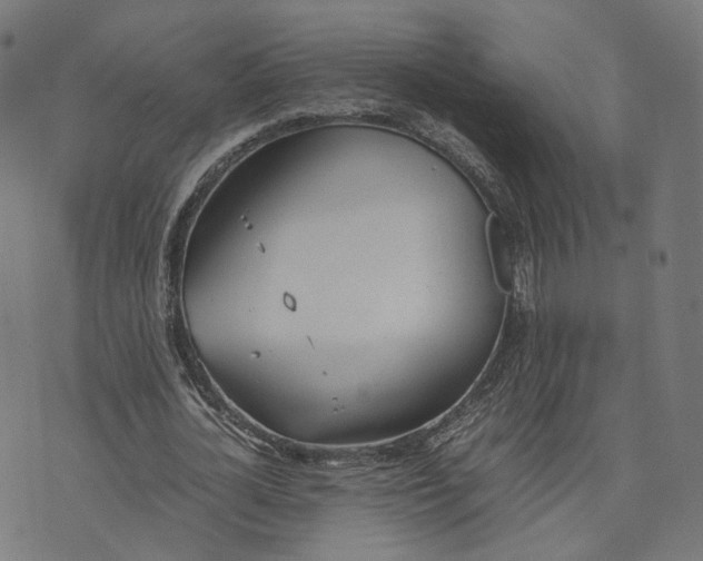 X0000070380724200606231711