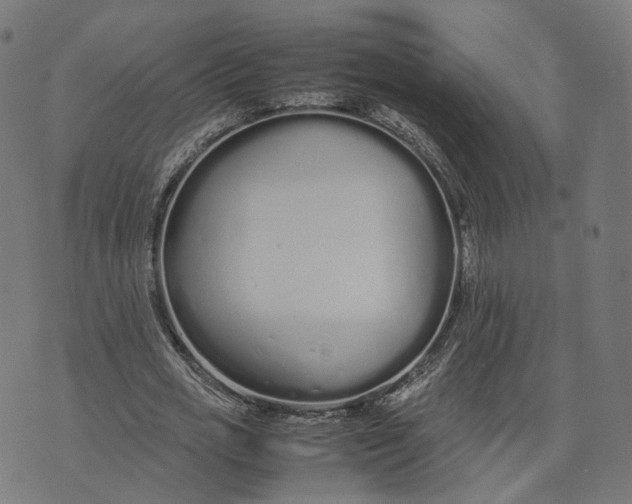 X0000070380725200606231711