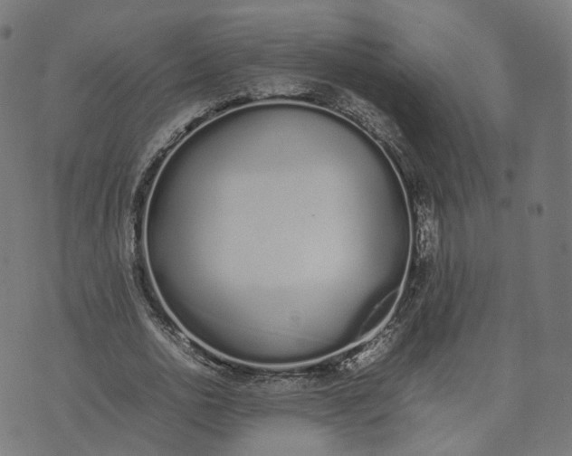 X0000070380726200606231711