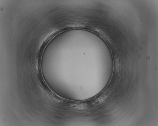 X0000070380727200606231711