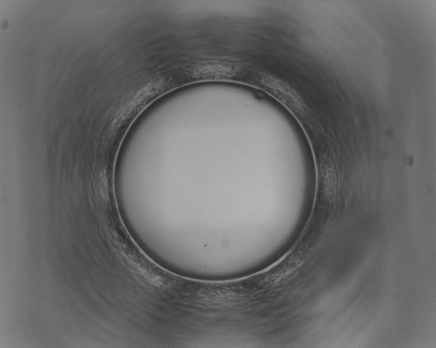 X0000070380729200606231711