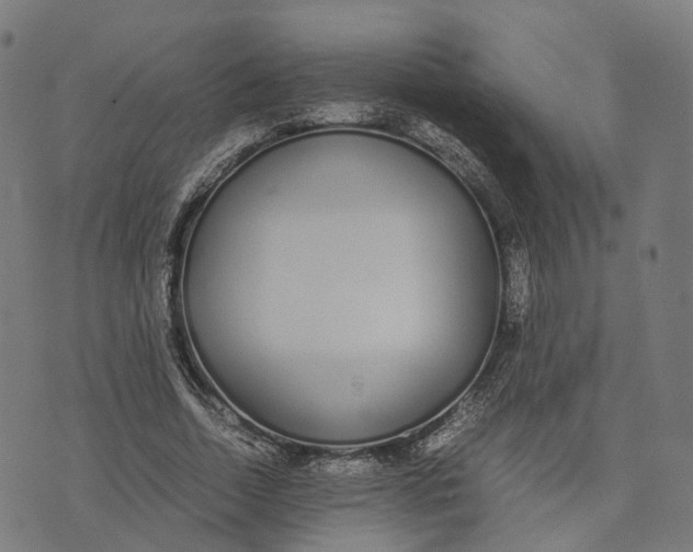 X0000070380730200606231711