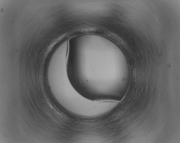 X0000070380732200606231712