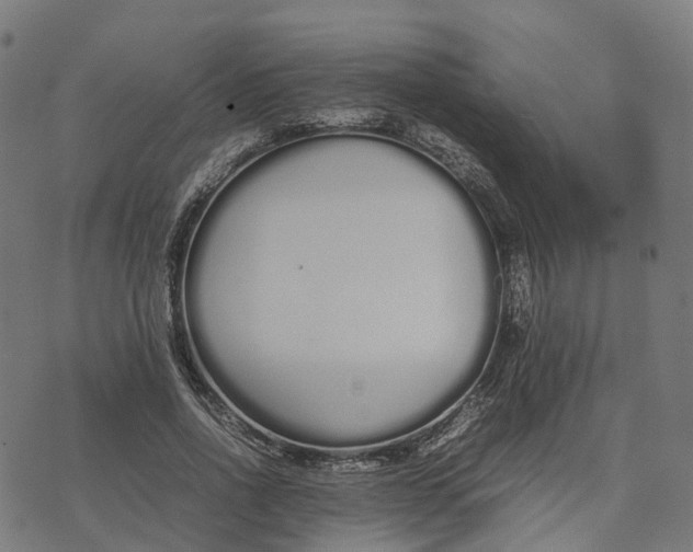 X0000070380734200606231712