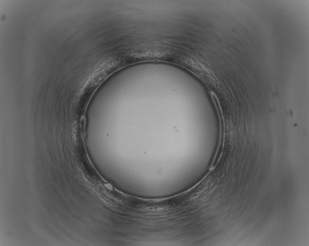 X0000070380735200606231712