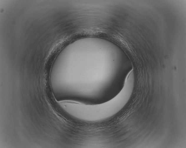 X0000070380736200606231712