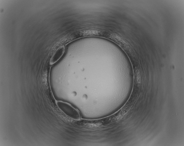 X0000070380737200606231712