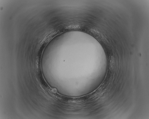 X0000070380739200606231712