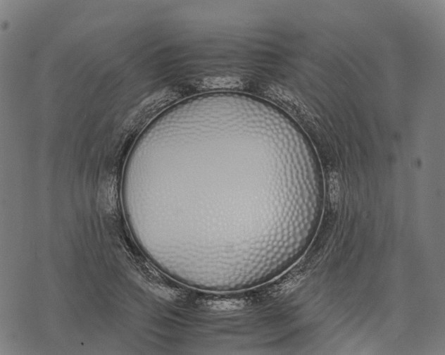 X0000070380741200606231712