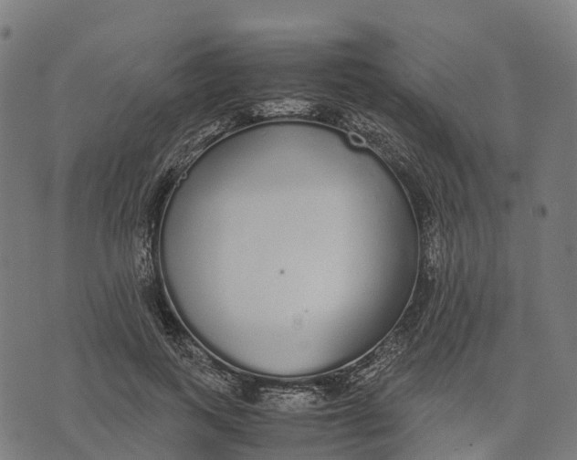 X0000070380743200606231712