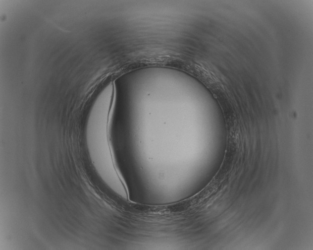 X0000070380744200606231712