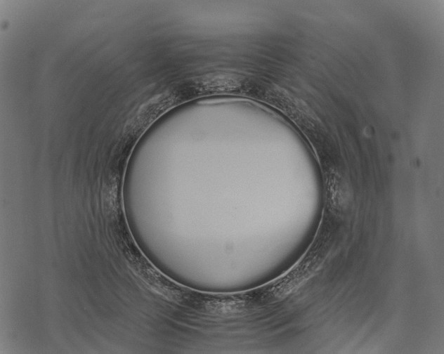 X0000070380745200606231712