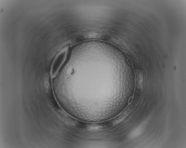 X0000070380746200606231712