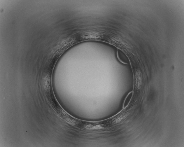 X0000070380747200606231712