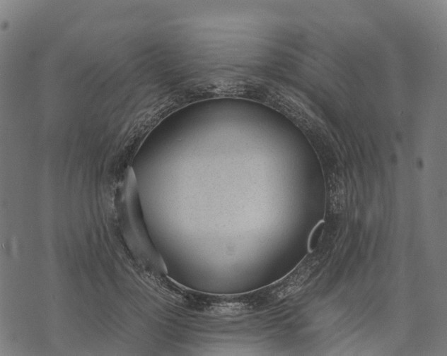 X0000070380748200606231712