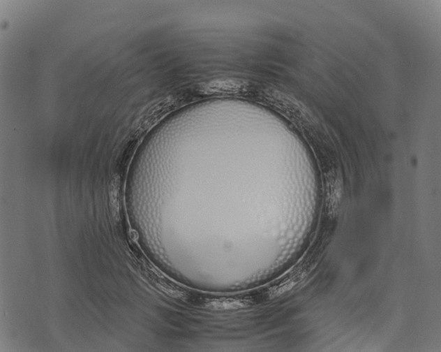 X0000070380749200606231712